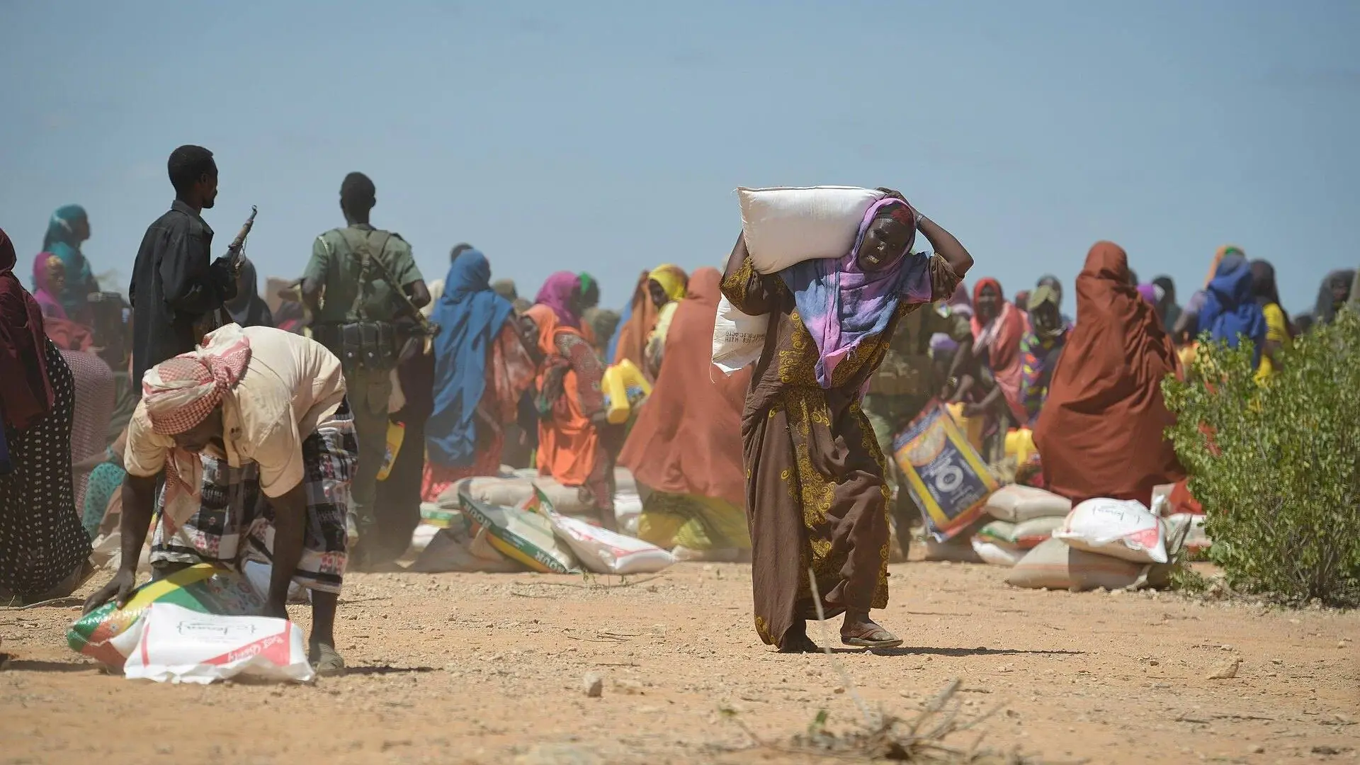 Development consultants coordinating programme delivery with partners at a field site in Somalia